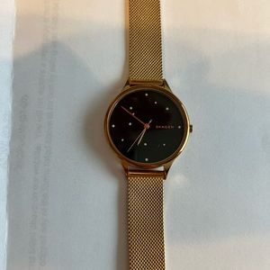 Skagen Watch